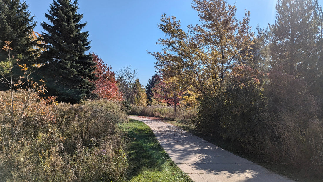 Richmond Green Heritage Walk in Richmond Hill, Ontario, venue of the 2026 Persian Music and Food Festival